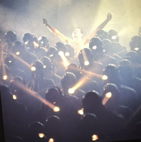 Queen freddie mercury - queen, photo
