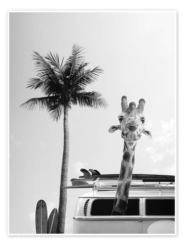 Poster giraffe surfer - giraffe,