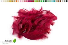 100 Gänsefedern 10cm