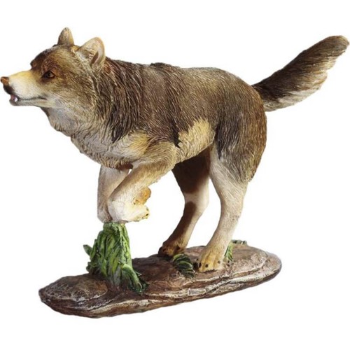 Wolf setzt zum sprung - zum,