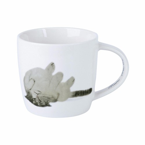 Maxwell williams becher - maxwell, &