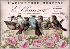 Decoupage bastelpapier - decoupage,