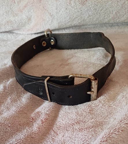 Lederhalsband hund mucki - lederhalsband,,