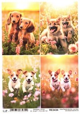 Reispapier A4 Strohseide