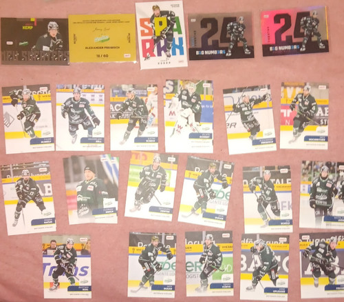 Bietigheim steelers del2 - bietigheim,