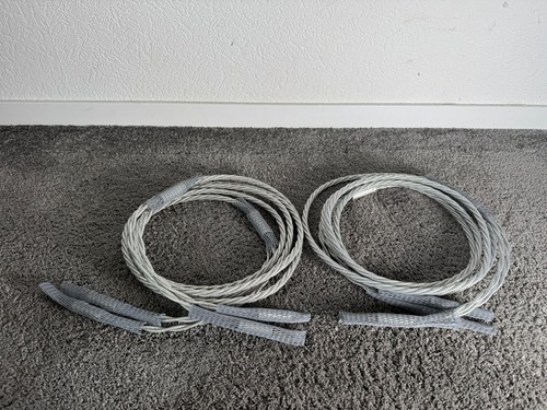 Ansuz acoustics speakz - ansuz, x2