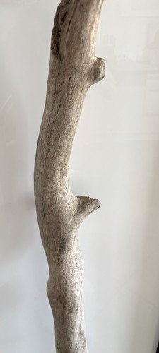 Treibholz xl - treibholz/,