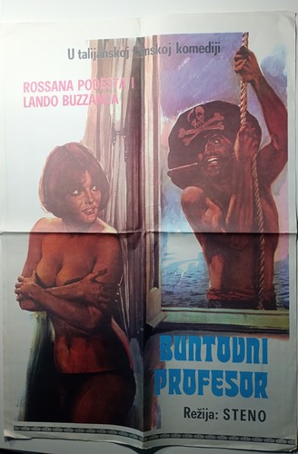 Filmplakat der zugvogel - filmplakat,