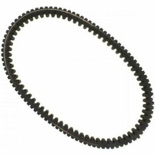 Dayco xtx variomatik riemen - xtx,