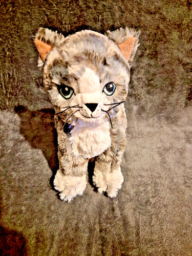 Ikea katze lilleplutt - katze,