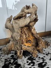 Treibholz Schwemmholz