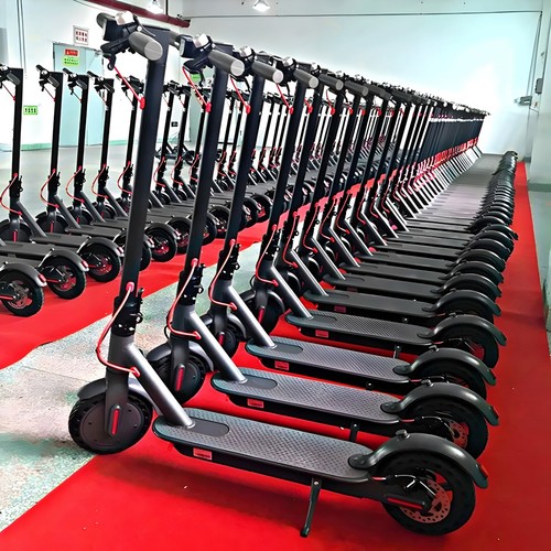 Scooter 350w 36v - 36v, nagelneu
