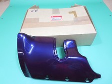 HONDA GL1500 Auspuffschutz