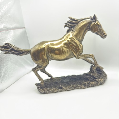 Veronese horse galopping - veronese,
