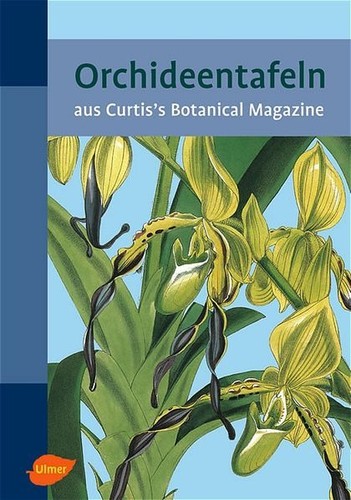 Orchideentafeln aus curtis - orchideentafeln,