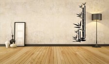 Bambus Pflanze Rechts Feng