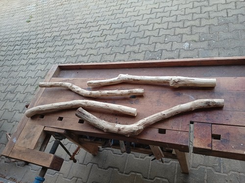 Obstholz äste geschwungen - 4x,