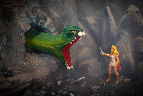 Motu masters the universe - the,
