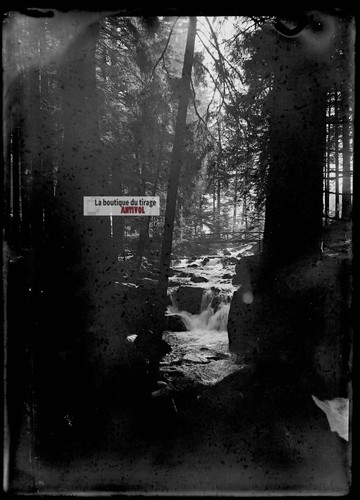 Alte foto glasplatte negativ - alte,