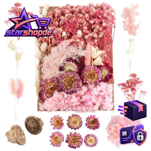 Trockenblumen rosa gemischte - rosa,
