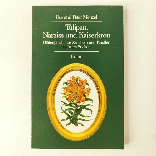 Tulipan narziss und - narziss,
