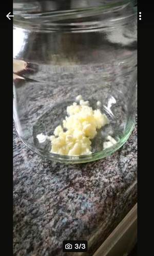 Milch kefir pilz - pilz, bio
