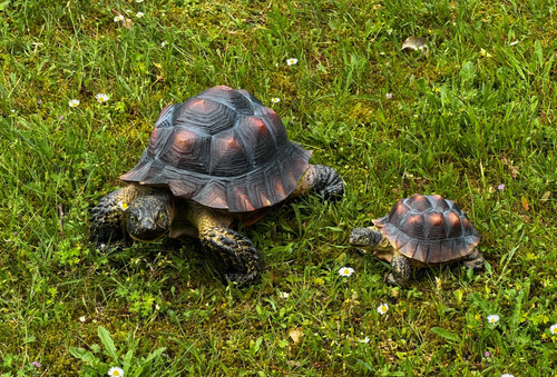 Gartenfigur schildkröte 2er - gartenfigur,