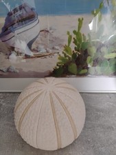 Seeigel Myntha von Ikea