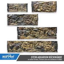 🌟🌟🌟🌟🌟 3D