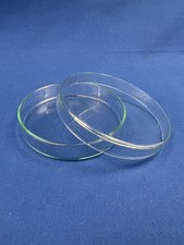 Petrischale 100 x 20 mm Glas Laborglas Laborzubehör Neu