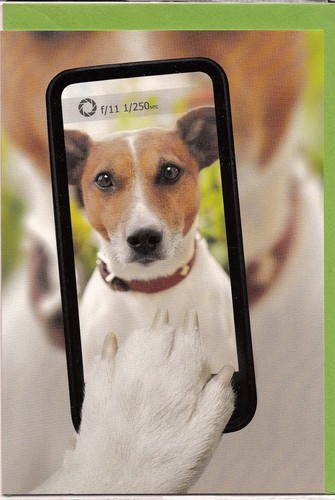 Klappkarte jack russel - klappkarte:,