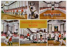 AK Wien Spanische Hofreitschule Reitschule / Capriole, Levade, Pferde,Lipizzaner