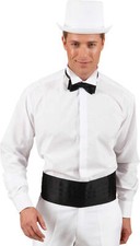 Frackhemd mit Stehkragen Hemd