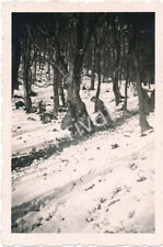 Foto WKII Wehrmacht Offiziere eisiger Abstieg Drachenfels Riesengebirge K1.85