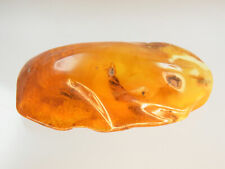 Schöner groß. Butterscotch