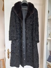 Top Zustand Persianer mit