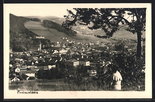 Freiwaldau frau auf - ak,