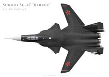 Druck Suchoi Su-47 "Berkut"