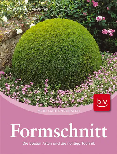 Formschnitt