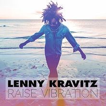 Raise vibration von lenny - vibration,