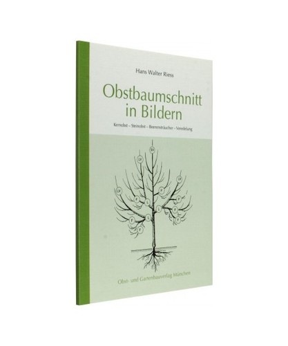 Obstbaumschnitt bildern - obstbaumschnitt,