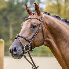 Passier Trense Fly High anatomisch geformt engl. Reithalfter havanna messing