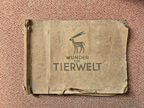 Wunder der tierwelt - wunder,