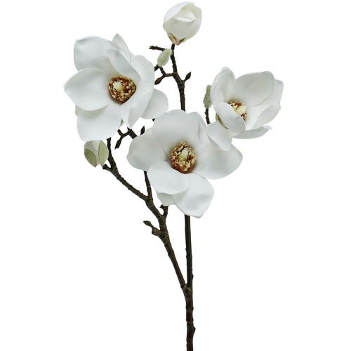 Magnolien zweig weiß 67cm - zweig,