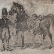 Zirkus Pferd In der Manege