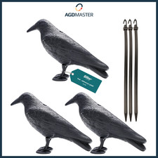 3x Sillar Taubenschreck Rabe-