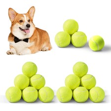 Tennis Werfen Maschine Hund