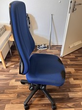 Adjustable Chair, Comfortable Chair  Cushion, Sessel