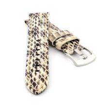 Echt Python-Schlange