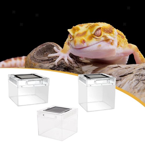 Reptilien-Terrarium